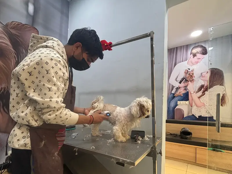 Pet Bazar, photo 4