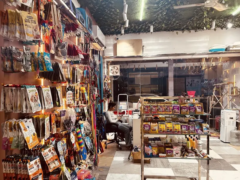 All 4 Pet - Pet Shop | Pet Accessories in Zirakpur, photo 2