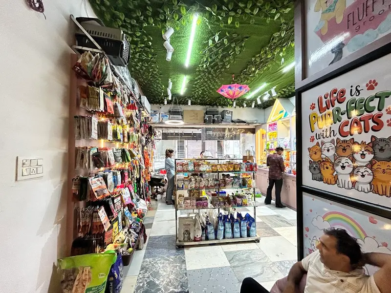 All 4 Pet - Pet Shop | Pet Accessories in Zirakpur, photo 4