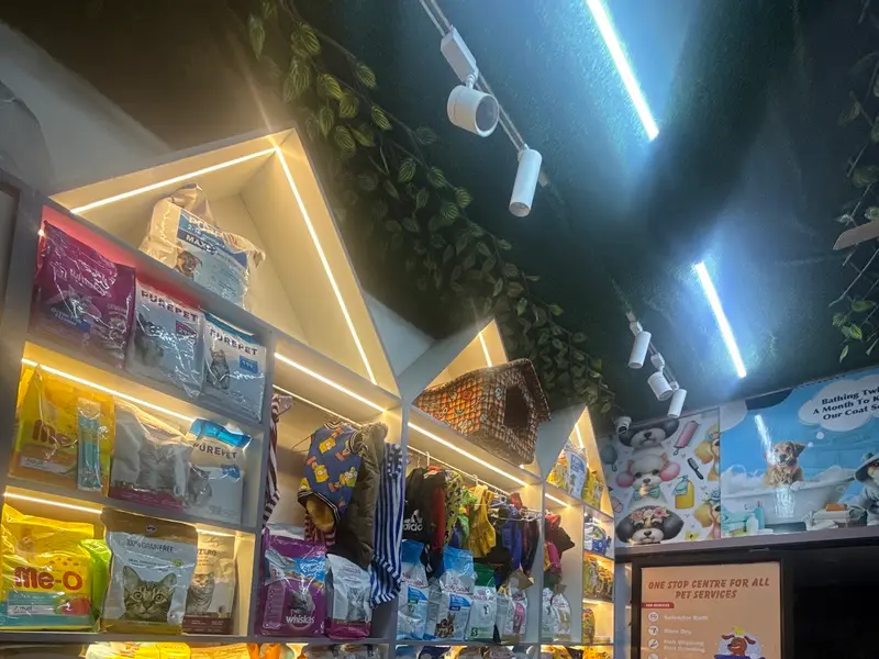 All 4 Pet - Pet Shop | Pet Accessories in Zirakpur, photo 5