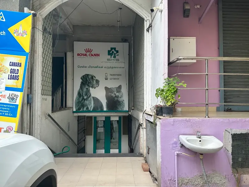 SKS Veterinary Hospital, photo 5