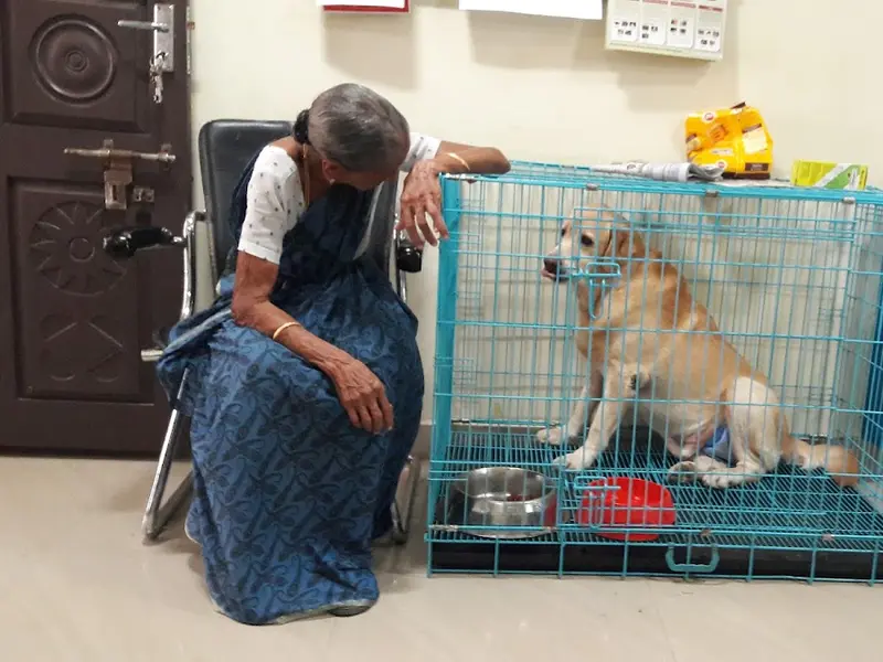 JP Pet Speciality Hospital, photo 3