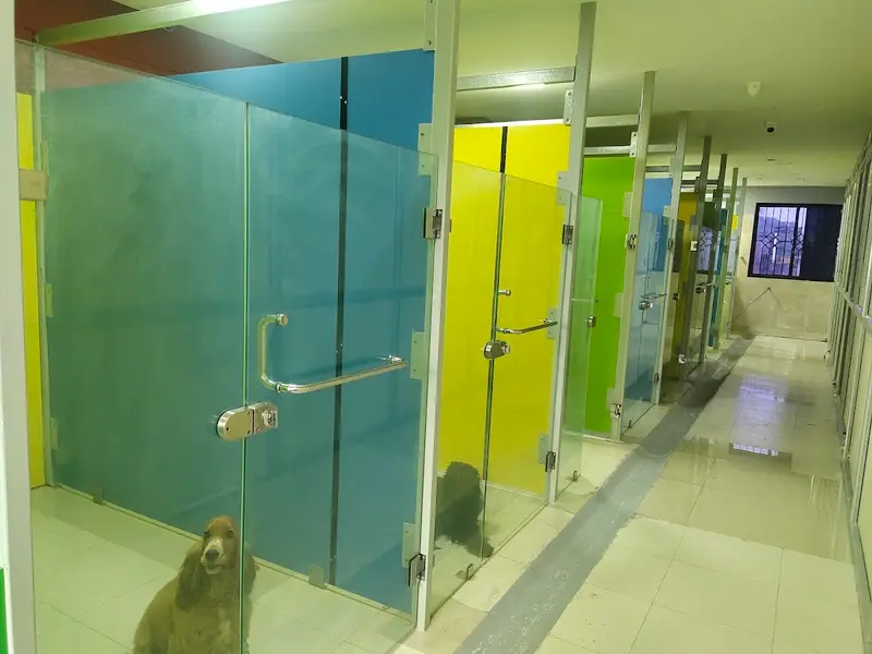 Sanchu Animal Hospital 24x7 | Adyar, Chennai, photo 2