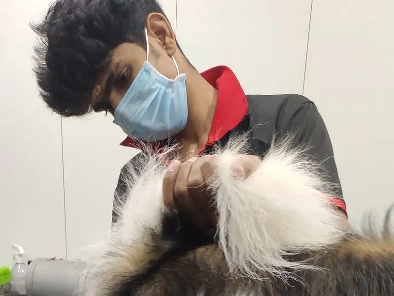 Sanchu Animal Hospital 24x7 | Adyar, Chennai, photo 4