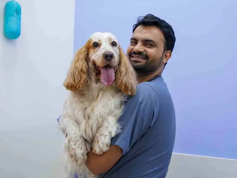 Vetic Pet Clinic Adyar, photo 3