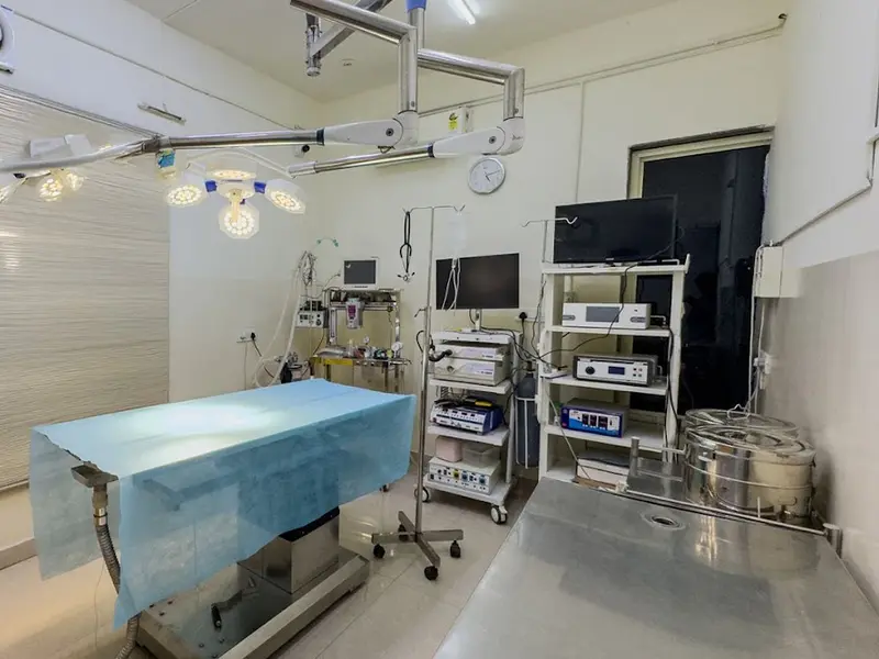 Vetic Pet Clinic Adyar, photo 5