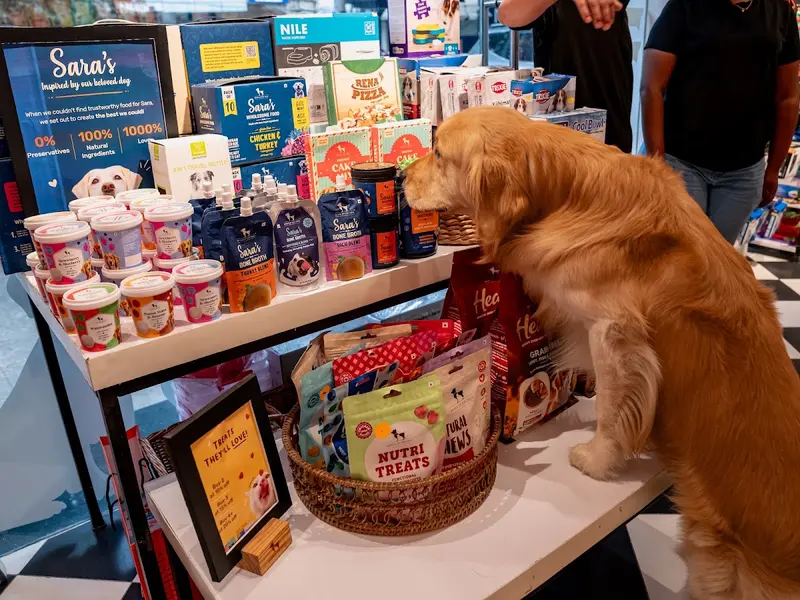 Heads Up For Tails Pet Store & Spa - Alwarpet, Chennai, Tamil Nadu, photo 3