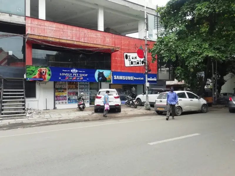 Lovely Pet Shop, photo 4