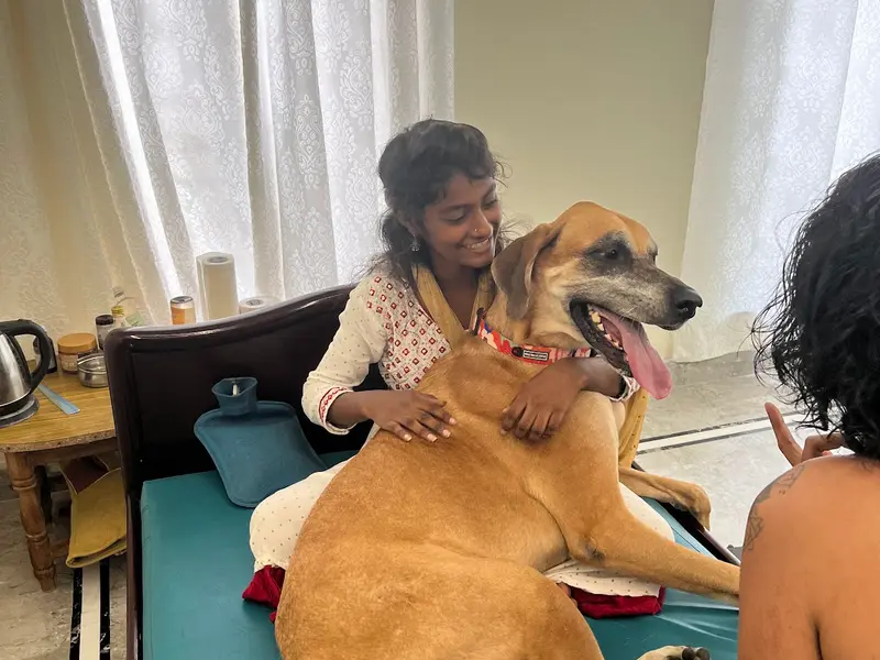 Rehab And Fitness For Pets, photo 5