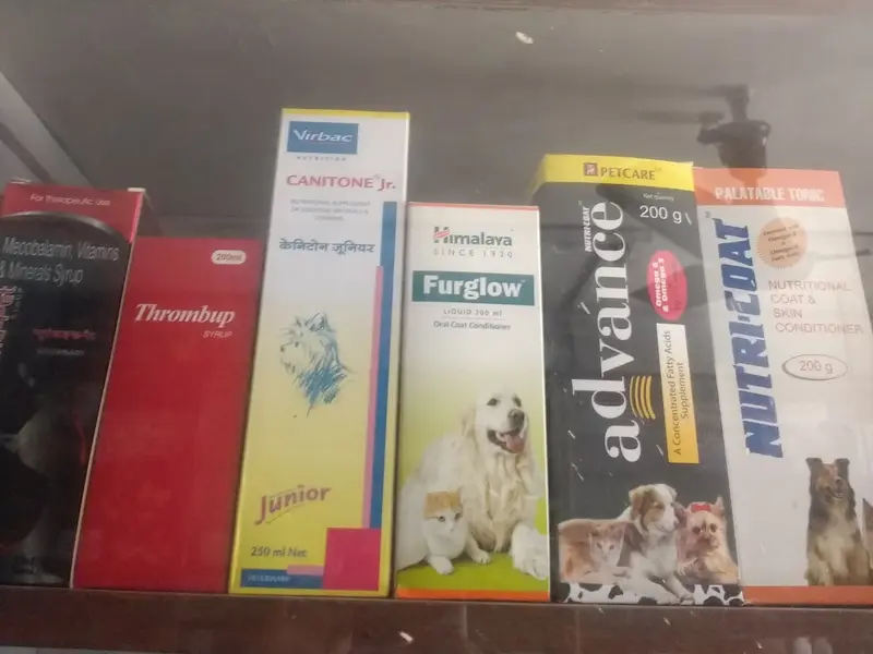 K.K.Pharmacy, photo 4