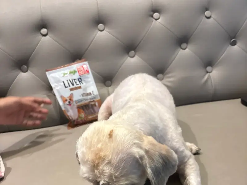 Pawfection pet grooming studio, photo 3
