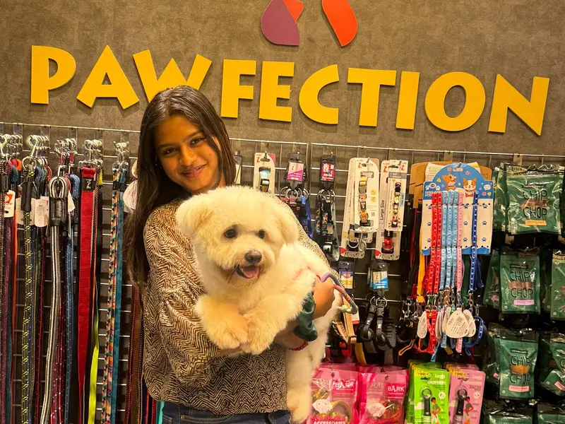 Pawfection pet grooming studio, photo 4