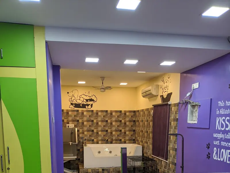 Pawsy The Pet Club, photo 2