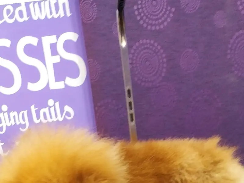 Pawsy The Pet Club, photo 3
