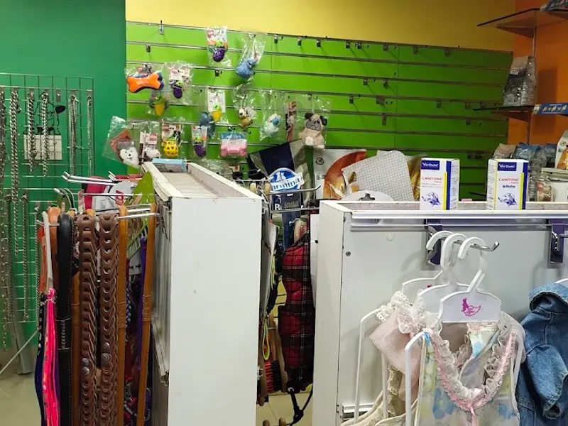 Pawsy The Pet Club, photo 5