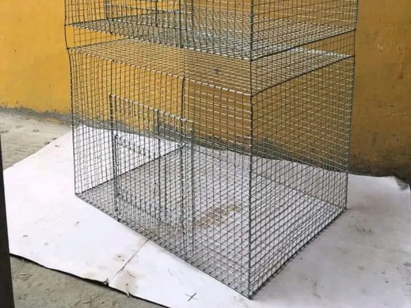 Sai Gokul Pets World Venkat ( Fram Address ), photo 5