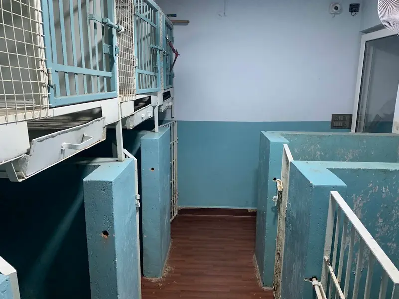 SaiSha Pet Speciality Hospital – Pet Clinic in Anna Nagar | pet care in anna nagar | best dog clinic in anna nagar, photo 4