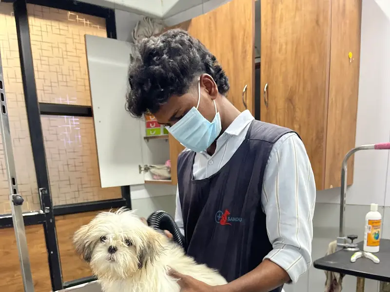 Sanchu Animal Hospital 24x7 | Anna Nagar, Chennai, photo 4