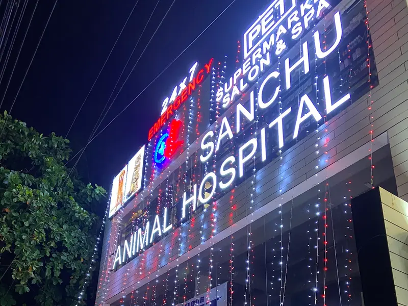 Sanchu Animal Hospital 24x7 | Anna Nagar, Chennai, photo 5