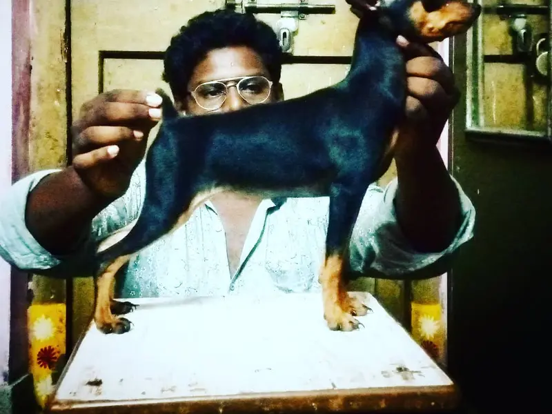 The Kennel Club of India, photo 4