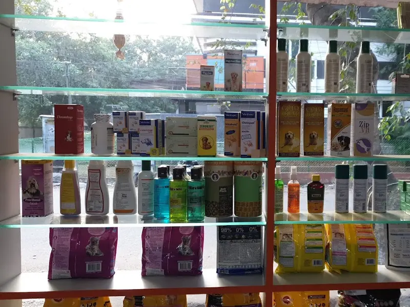 The pets store, photo 3