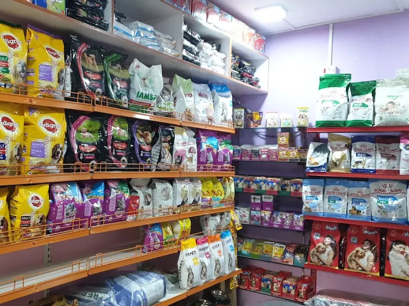 The pets store, photo 5