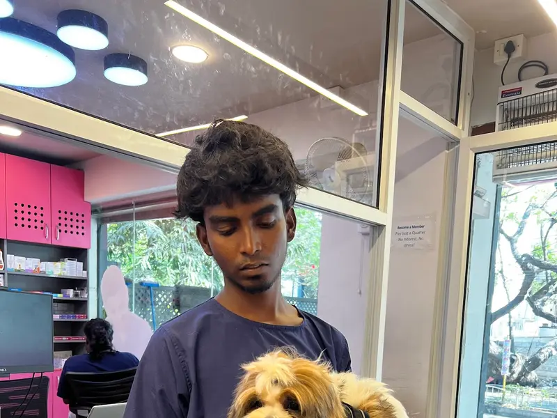 Vetic Pet Clinic Anna Nagar, photo 2