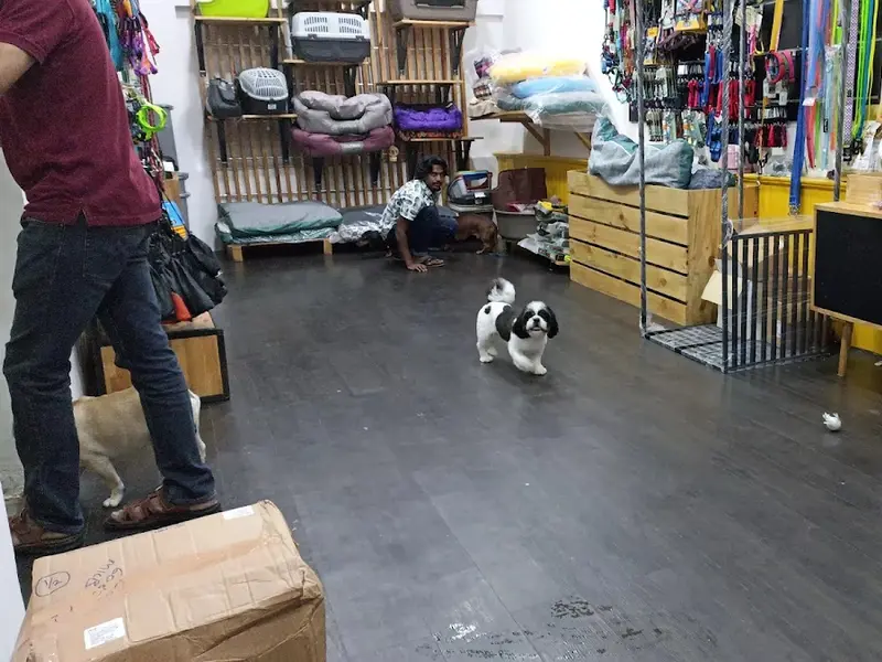 Pets 101 Anna Nagar, photo 2