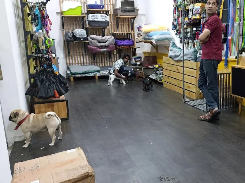 Pets 101 Anna Nagar, photo 5