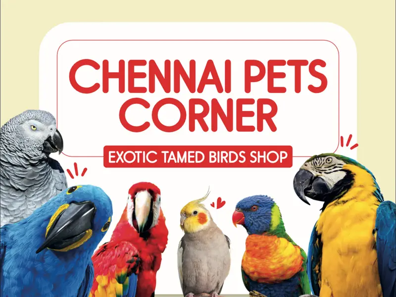 Chennai Pets Corner, photo 4