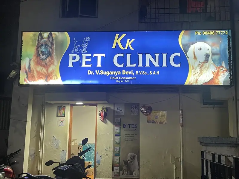 KK Pet Clinic, photo 2