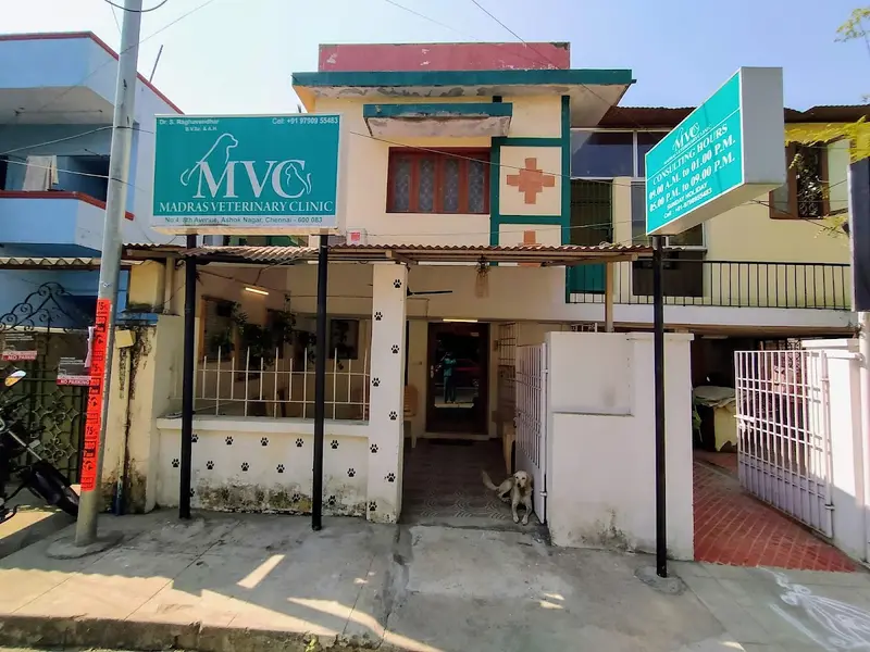 Madras Veterinary Clinic, photo 4