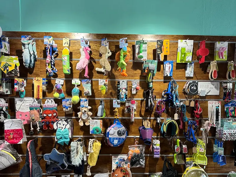 Scooby's Cafe-Store-Spa, photo 2