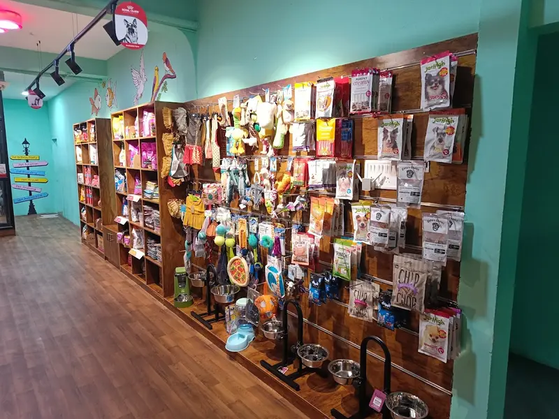 Scooby's Cafe-Store-Spa, photo 5