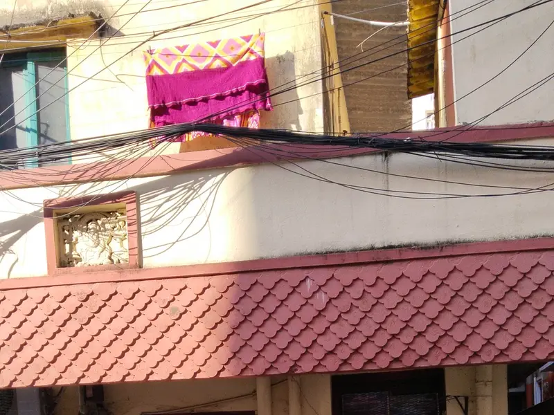 Laikas pet shop, photo 2