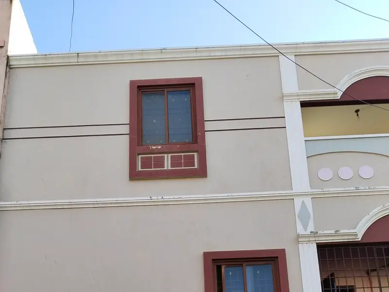 Laikas pet shop, photo 4