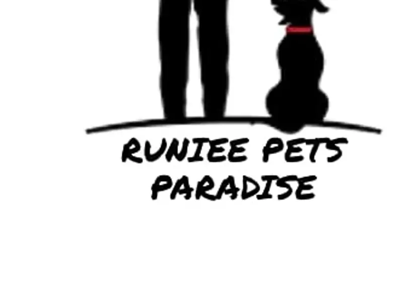 Runiee pets Paradise, photo 5