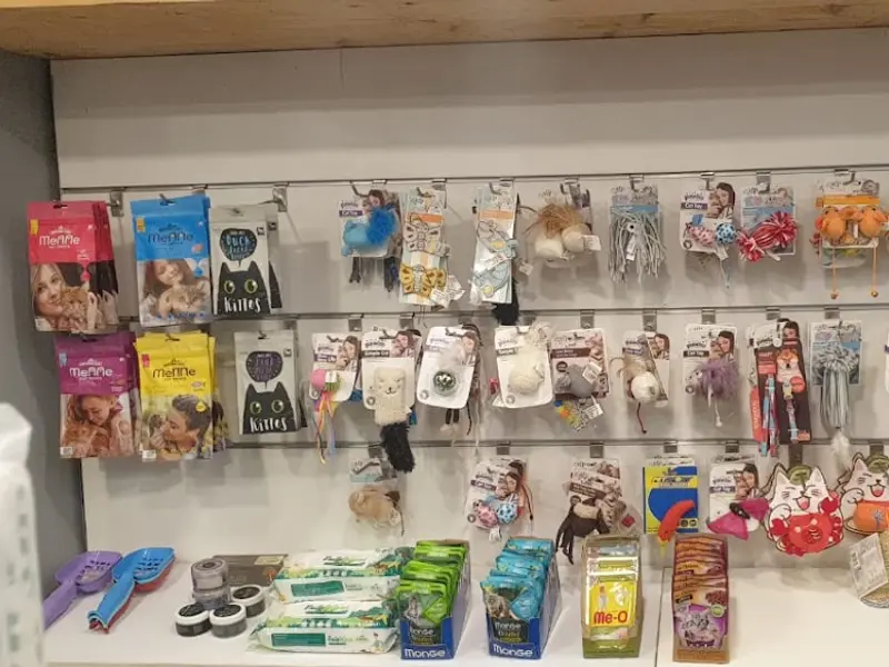 Pets 101 Besant Nagar, photo 3