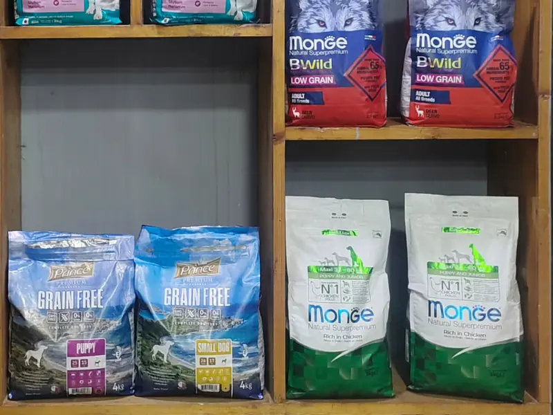 Pets 101 Besant Nagar, photo 5