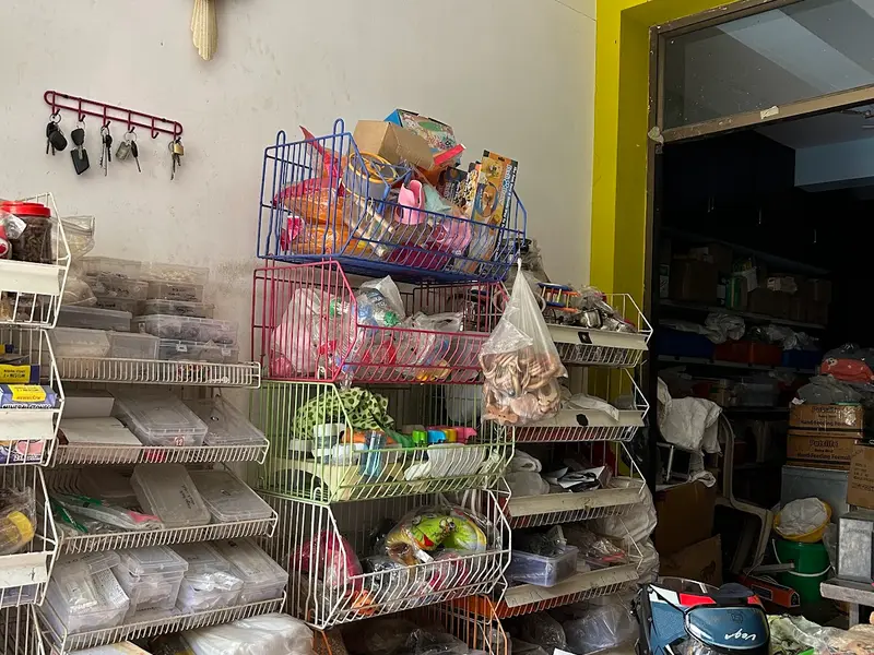 San Pets, photo 2