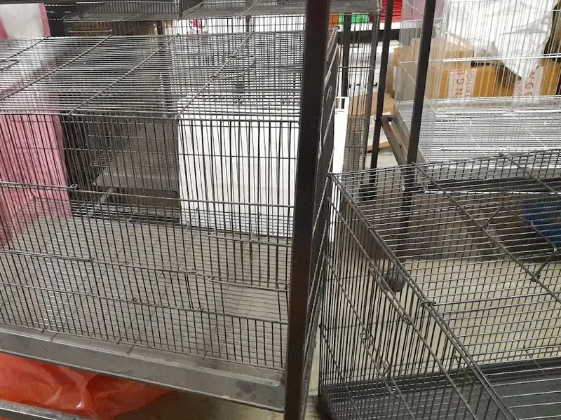 San Pets, photo 3