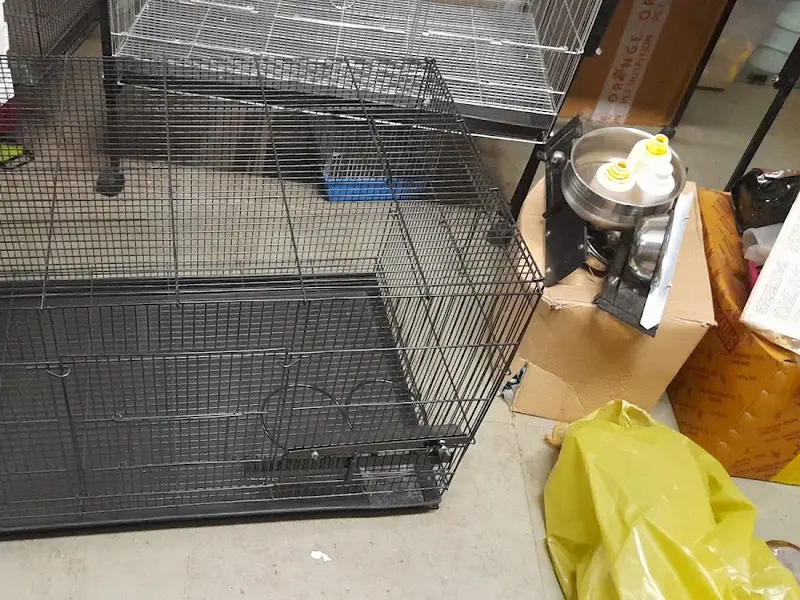 San Pets, photo 5