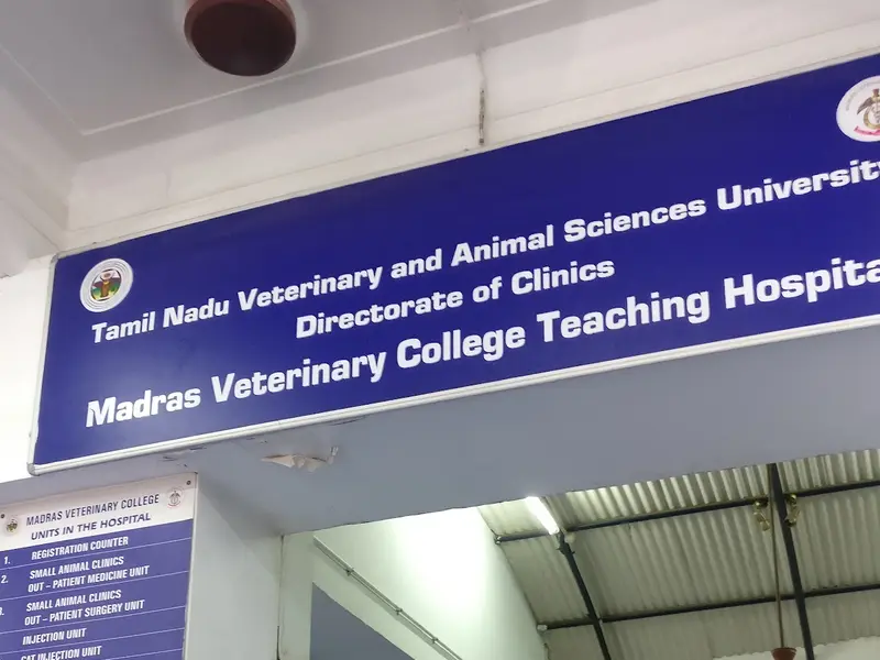 Dean's Office, Madras Veterinary College, photo 2