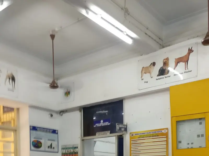 Dean's Office, Madras Veterinary College, photo 5