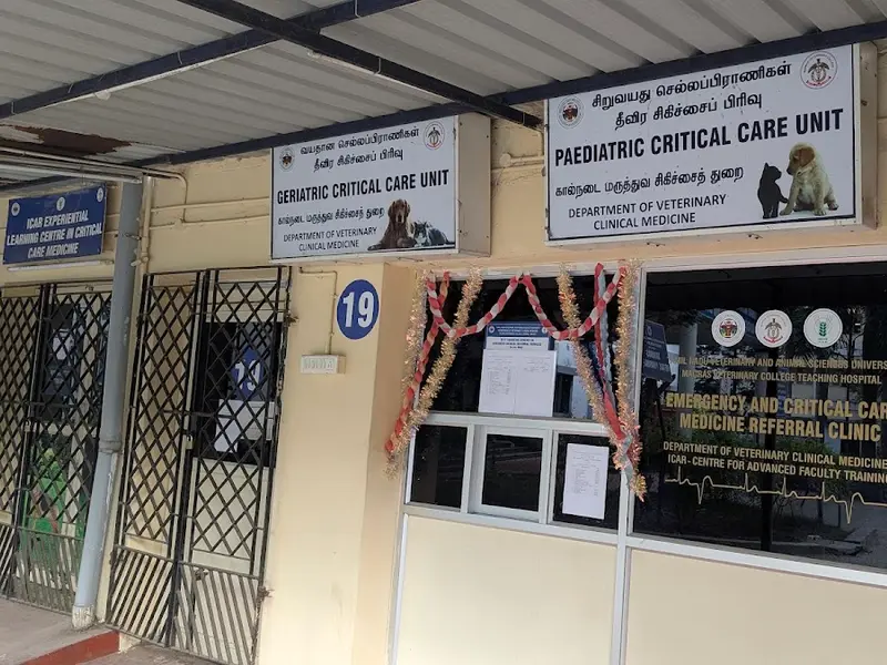 Madras Veterinary hospital, photo 4
