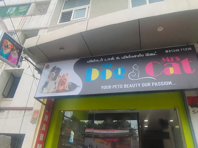 Mr Dog & Mrs Cat - Pet Grooming for Dog & Cats, photo 2
