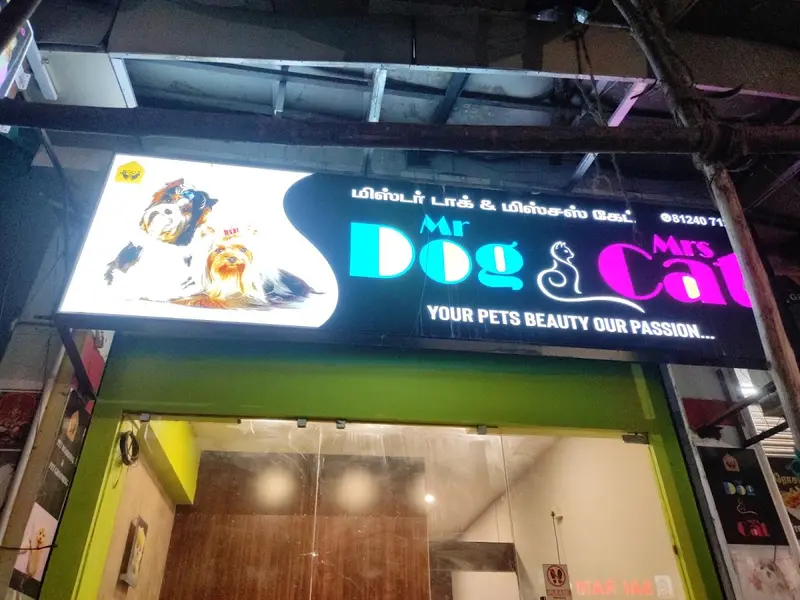 Mr Dog & Mrs Cat - Pet Grooming for Dog & Cats, photo 4