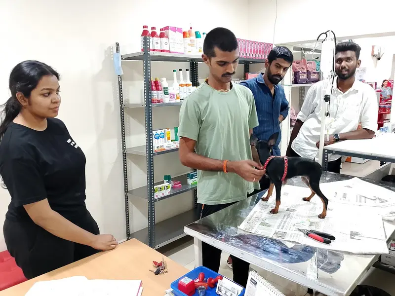 Vepery Veterinary Clinic ( V Square Clinic and Path Lab), photo 2
