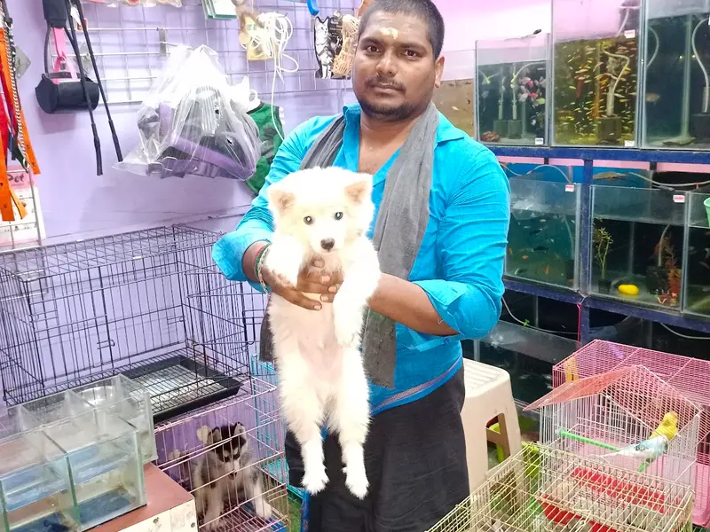 Arun pet shop, photo 5