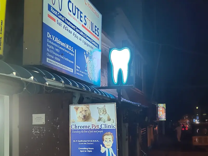 Chrome Pet Clinic, photo 2